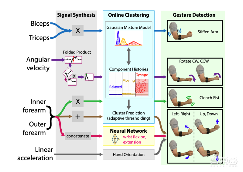 绷紧肌肉就能操控无人机！MIT硬核研究：AI让你的麒麟臂变遥控器