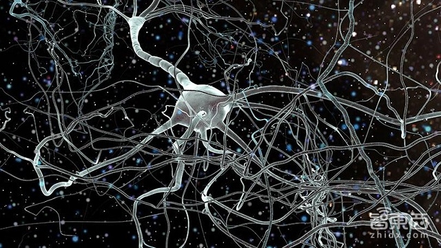 潜入谷歌一天:探秘逆天的人工智能“航母”