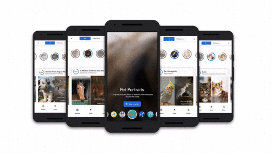 你的宠物也有艺术化身了,谷歌AI新功能上线