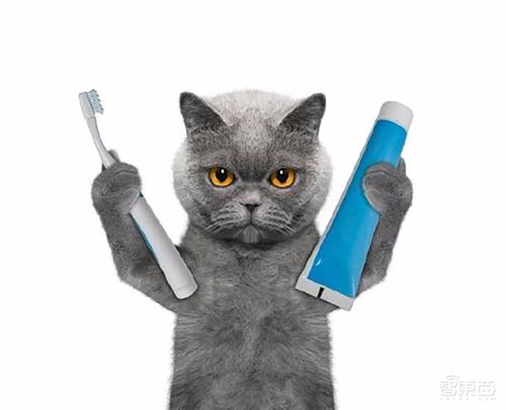 苹果Mac芯片完爆英特尔!新电脑三弹齐发,最长续航20小时