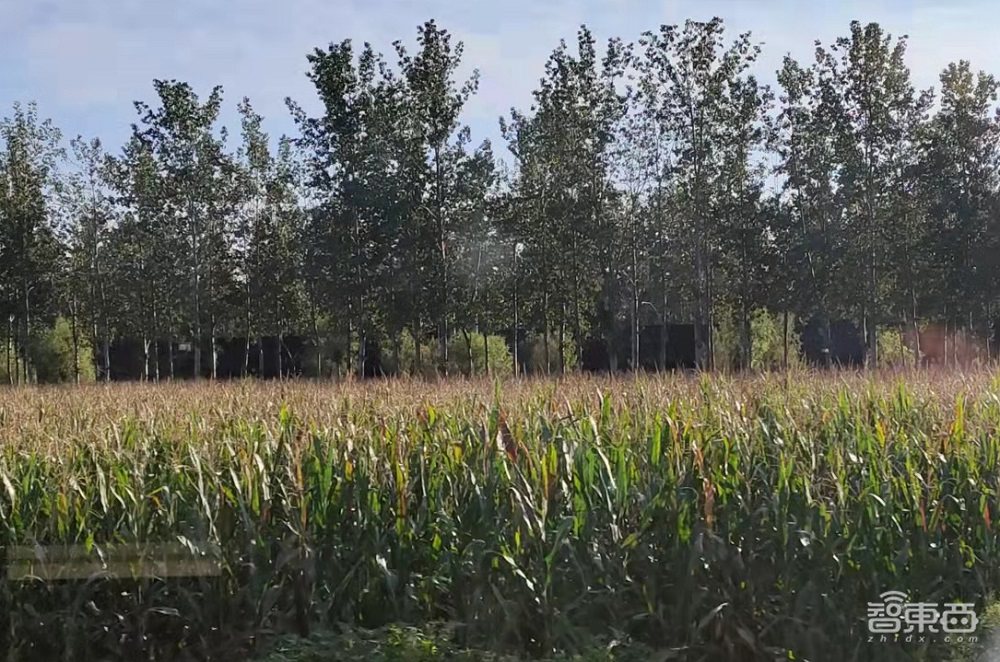 走进真实的智慧乡村,进村靠脸,种田上天,秋收上网