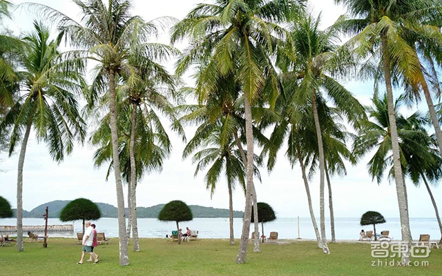 北京人看了笑了! 城市大脑能拯救堵成狗的吉隆坡么?