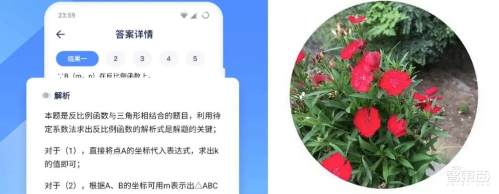 支付宝长眼睛了!打造新一代视觉搜索,AI帮你探索万物