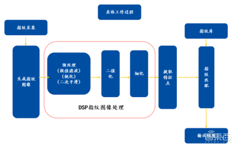 揭秘本土IC行业现状!国产替代三大黄金赛道,“赶英超美”最佳路线【附下载】| 智东西内参