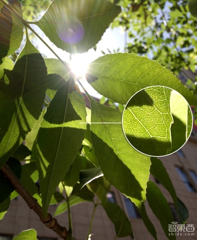 颜值最高 vivo手机 X5Pro唯美开箱体验