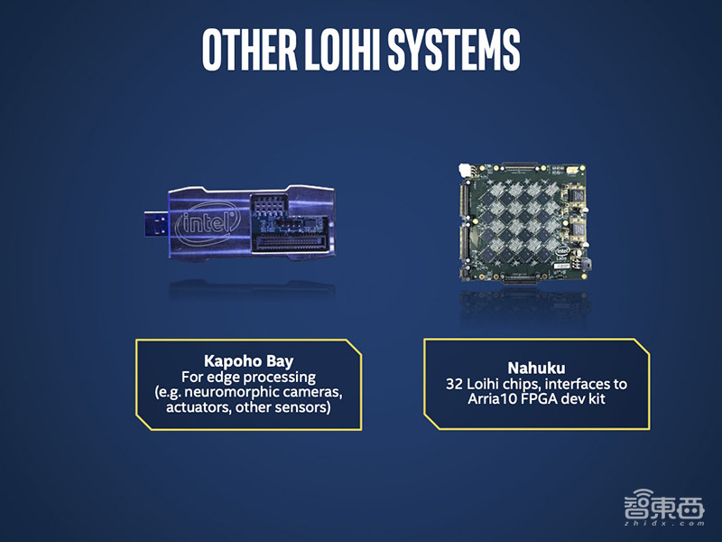 768颗芯片、1亿个神经元！电脑追上小型哺乳动物脑容量，迄今最强神经拟态系统诞生