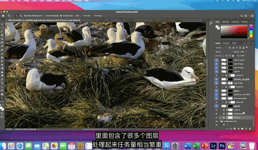 苹果官宣自研电脑芯!2年取代英特尔,WWDC一文看尽