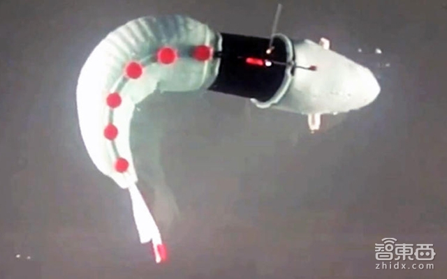 别看软乎乎的!它们都是受宠的不正经机器人