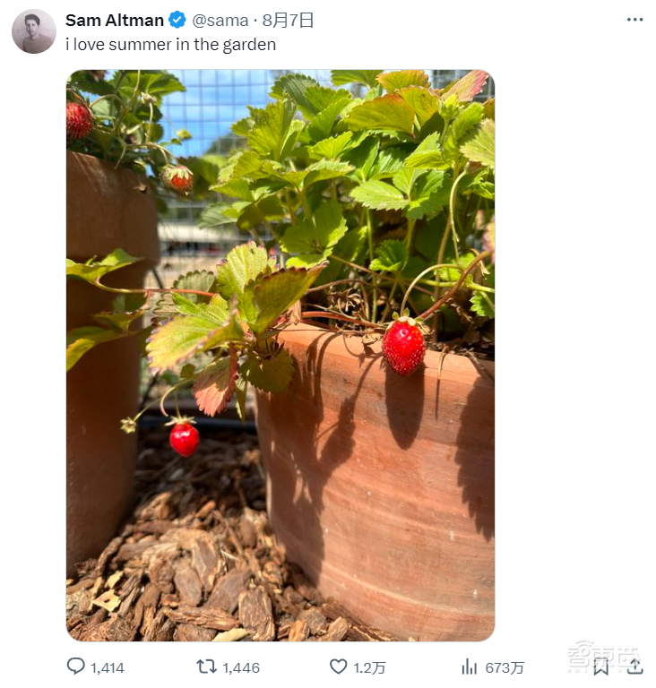曝OpenAI神秘大模型“草莓”两周内发布!