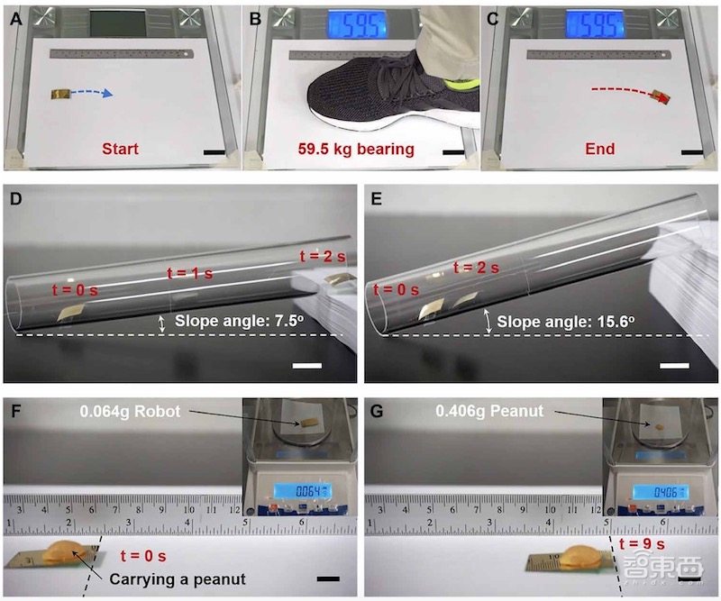 中美合作研发“纸条”机器人，被踩扁还能继续爬