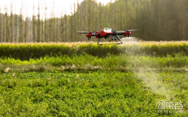 探秘极飞新疆:“偷”来法拉利技术 种出香奈儿口红