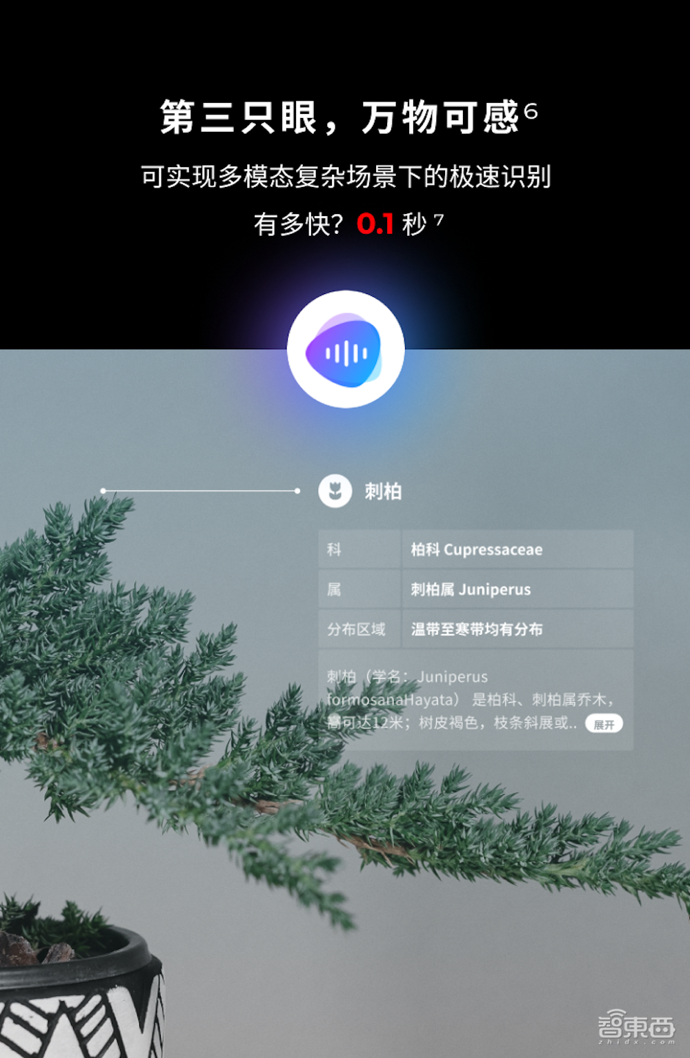 获阿里投资,真全天候智能眼镜亮相进博会,对话创始人张慧敏