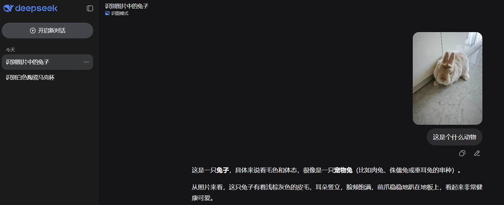 DeepSeek终于能看图了！我第一时间用它算命