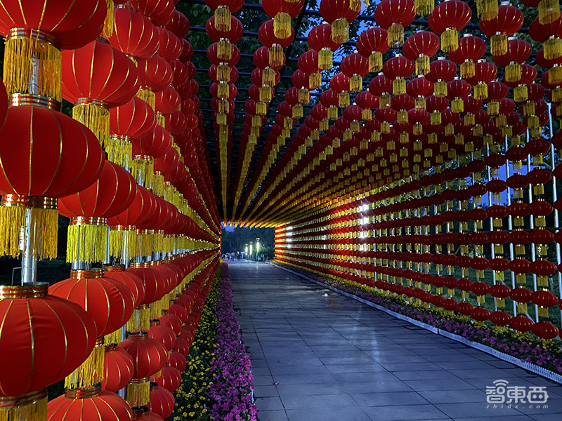 iPhone 11使用十天心得!告诉你苹果口碑逆袭的真相