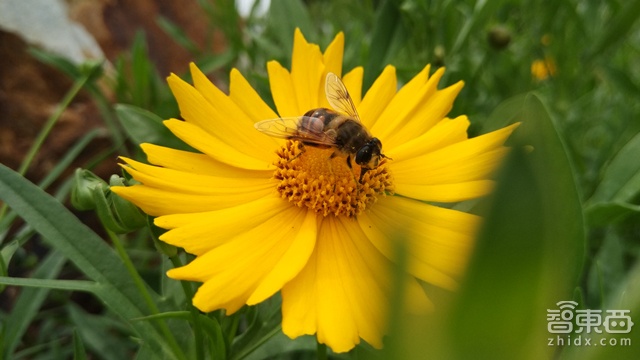 小米Note顶配版测评:到底比普通版强多少?