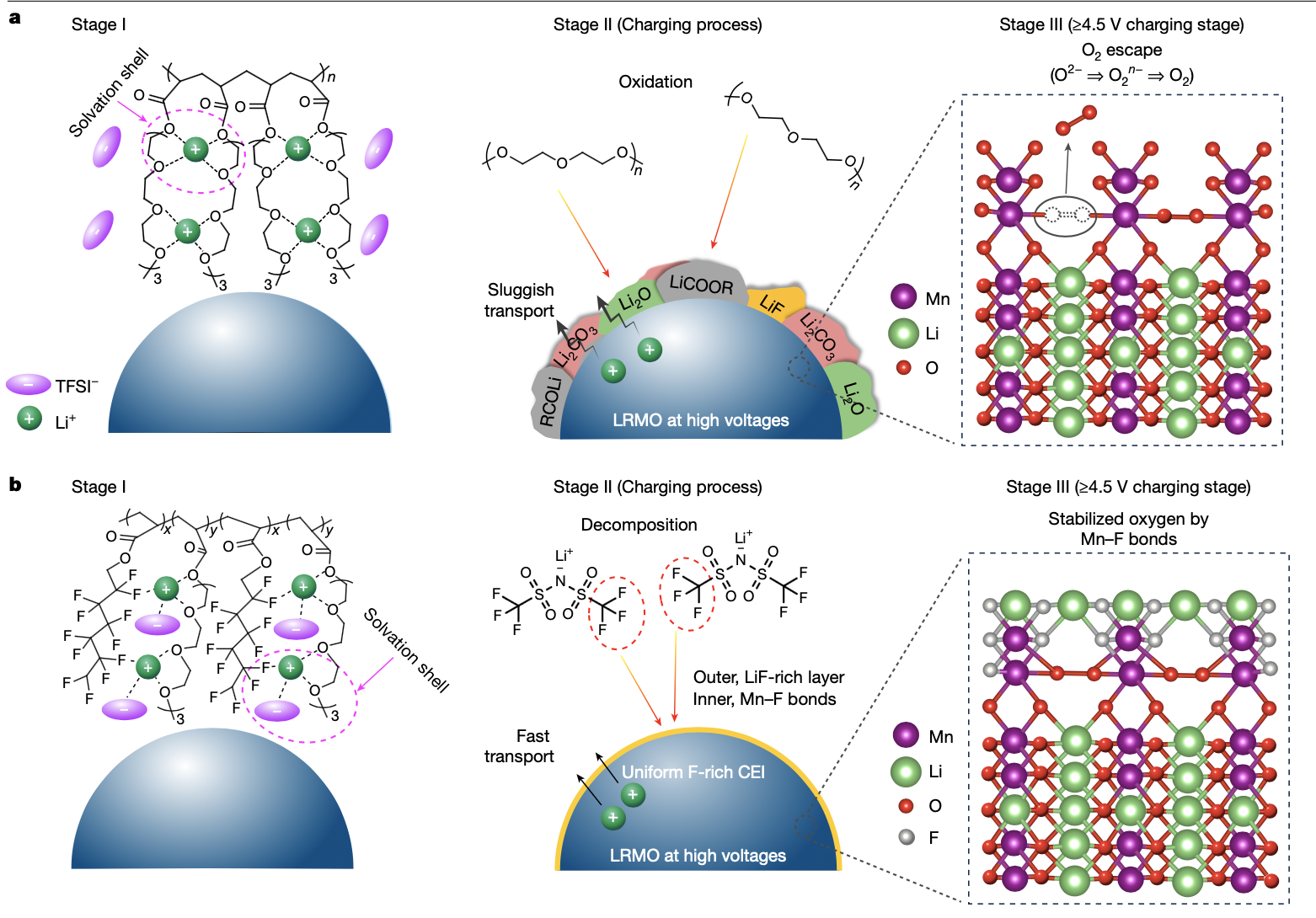 重磅,固态电池重大突破!清华团队攻克关键难题,国际顶刊《自然》收录