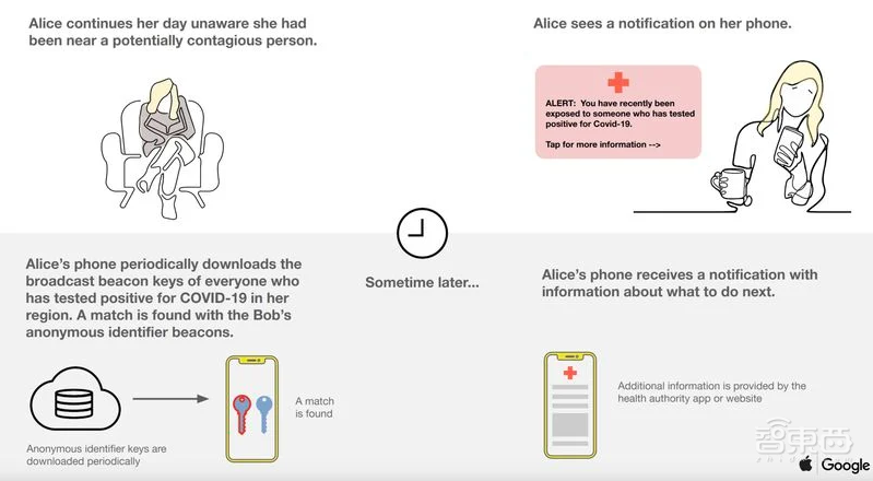 苹果推出iOS 13.5，上线与谷歌研发的曝光通知API等抗疫新功能