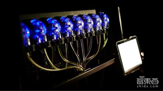 全球十五个异想天开的机器人项目 一个比一个神奇丨智能内参