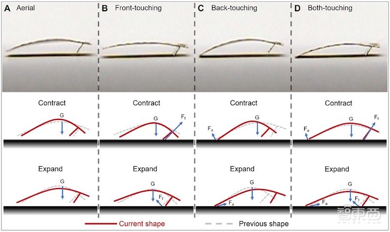 中美合作研发“纸条”机器人，被踩扁还能继续爬