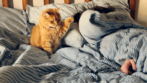 48个文生视频+技术报告,揭秘OpenAI最强视频GPT