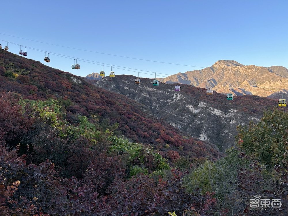 被“小看”的“大個(gè)子”，iPhone 14 Plus到底是誰的菜？