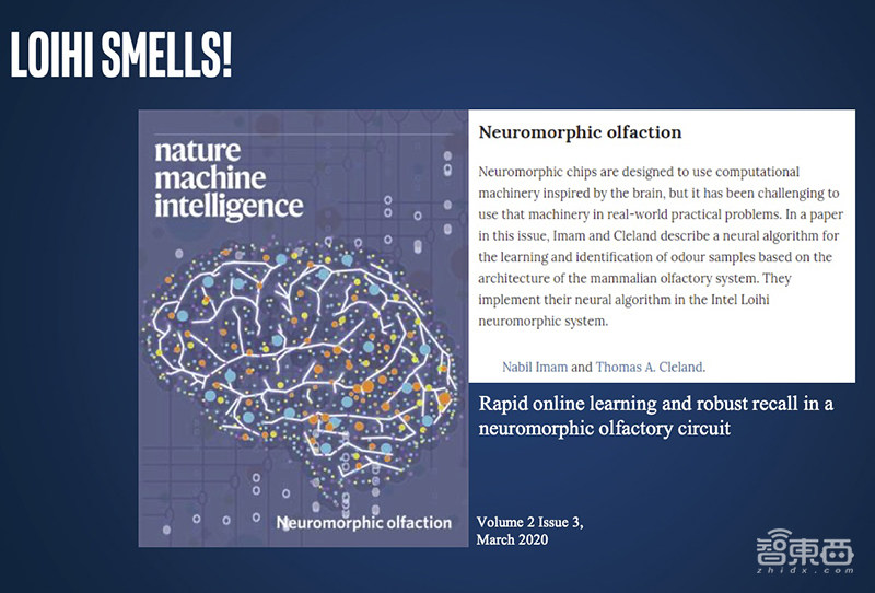 768颗芯片、1亿个神经元！电脑追上小型哺乳动物脑容量，迄今最强神经拟态系统诞生