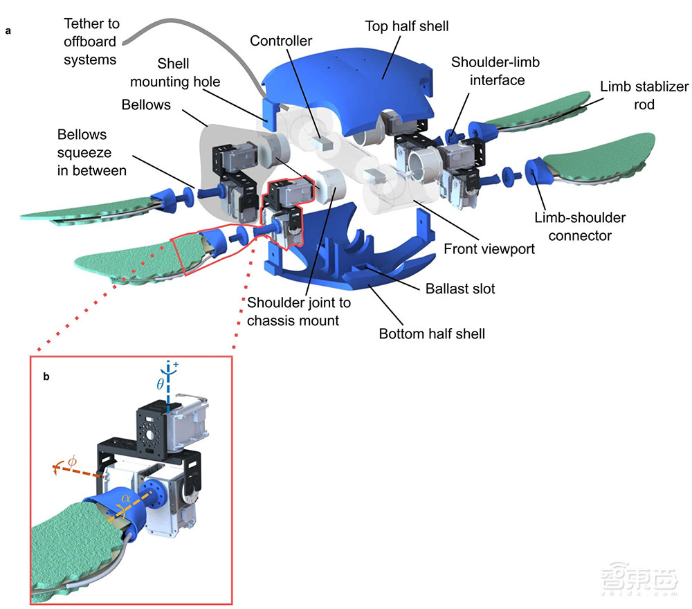 两栖机器龟登上Nature封面!结合海龟、陆龟和机器人的各种优势