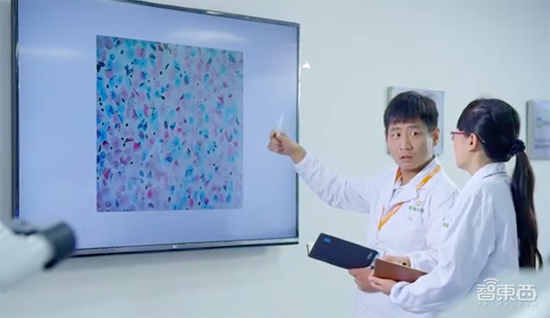 AI造福女性显身手!看华为云的AI防癌黑科技牛在哪