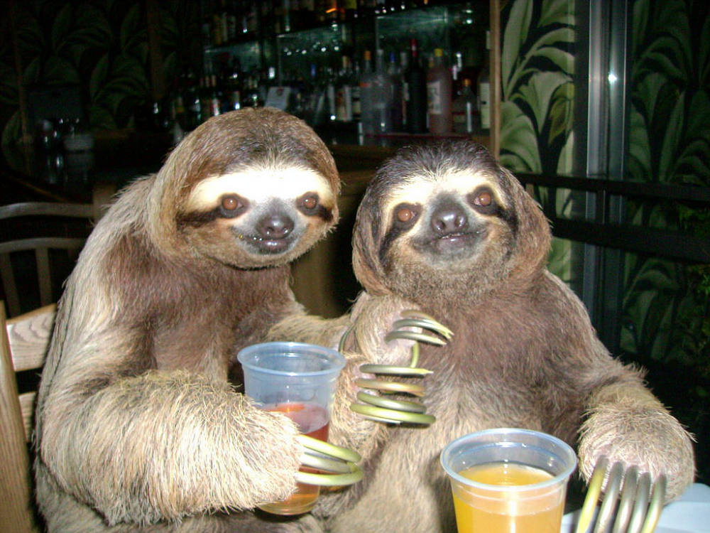 FLUX.2开源！AI生图“DeepSeek”能否平替谷歌Nano Banana？附一手实测