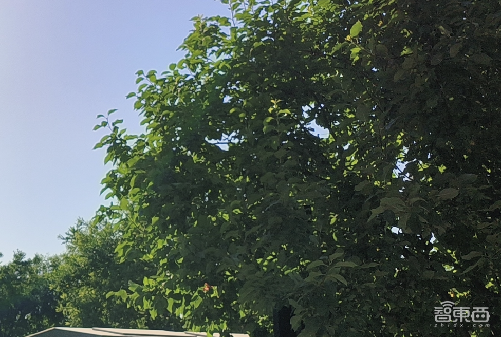 OPPO Reno8 Pro+体验:自研影像NPU提升逆光、夜拍,大镜头窄边框抢眼