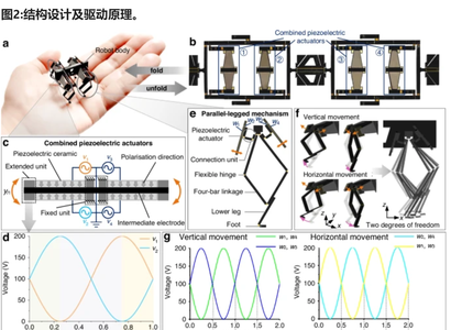 国防科大造了个纸片机器人，登上Nature子刊