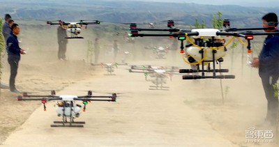 特写：无人机下乡三年 海归植保队征服5万亩果园