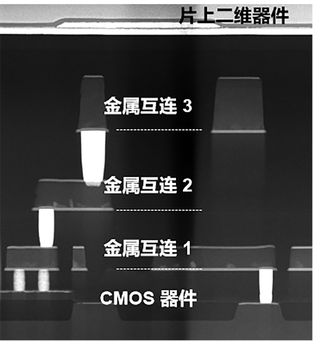 全球首顆！復(fù)旦大學(xué)創(chuàng)新存儲(chǔ)芯片登Nature，已流片