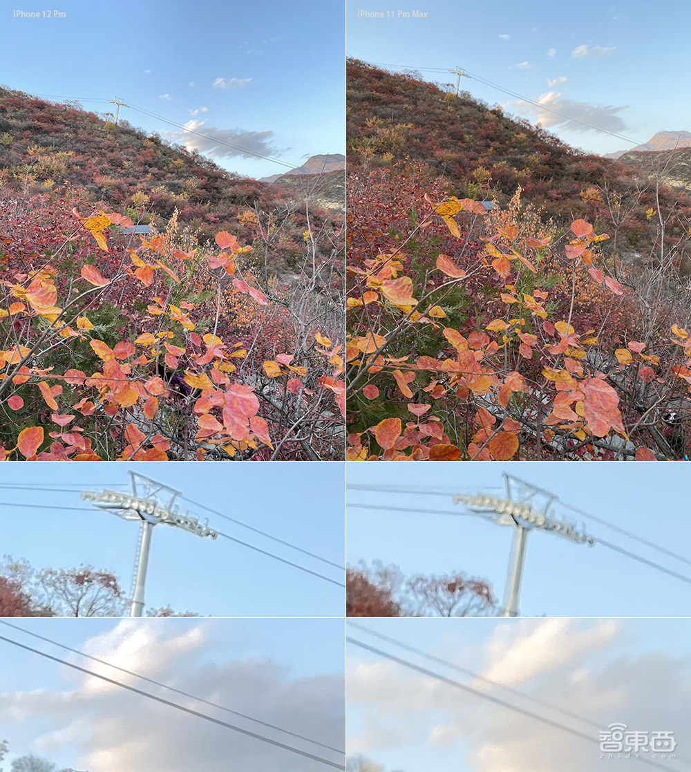 苹果手机拍照要秒单反?iPhone 12 Pro一周深度体验