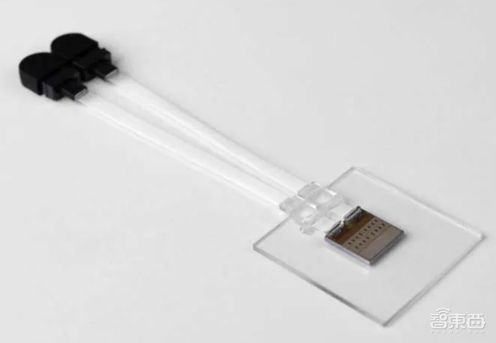 英伟达AMD英特尔联手,投出一家AI芯片独角兽