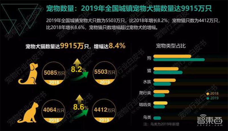 AI解救铲屎官!喵脸识别、狗粮定制,宠物智能生活精彩远超想象