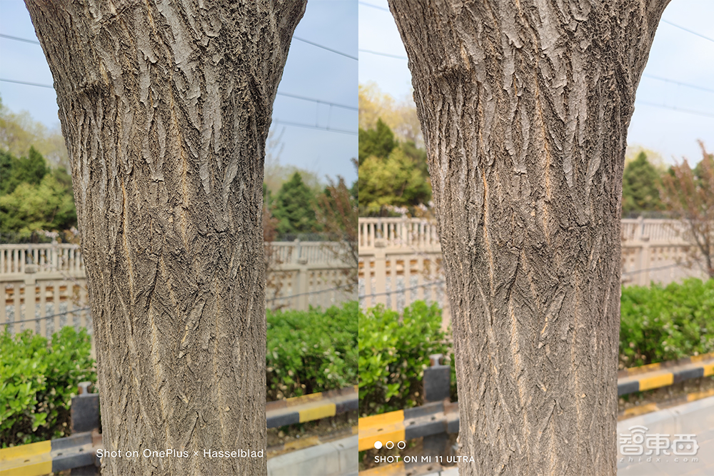 一加9 Pro深度体验:拍照PK小米旗舰“神仙打架”,系统换血轻快依旧