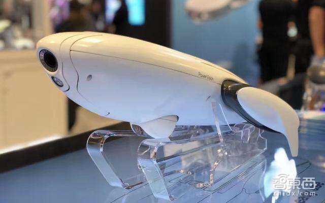 千亿美元新蓝海:机器人养鱼了解一下?