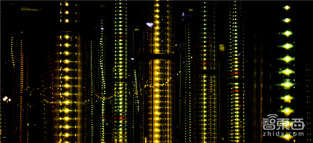 波士顿咨询量子计算重磅报告:2030年将爆发|智东西内参