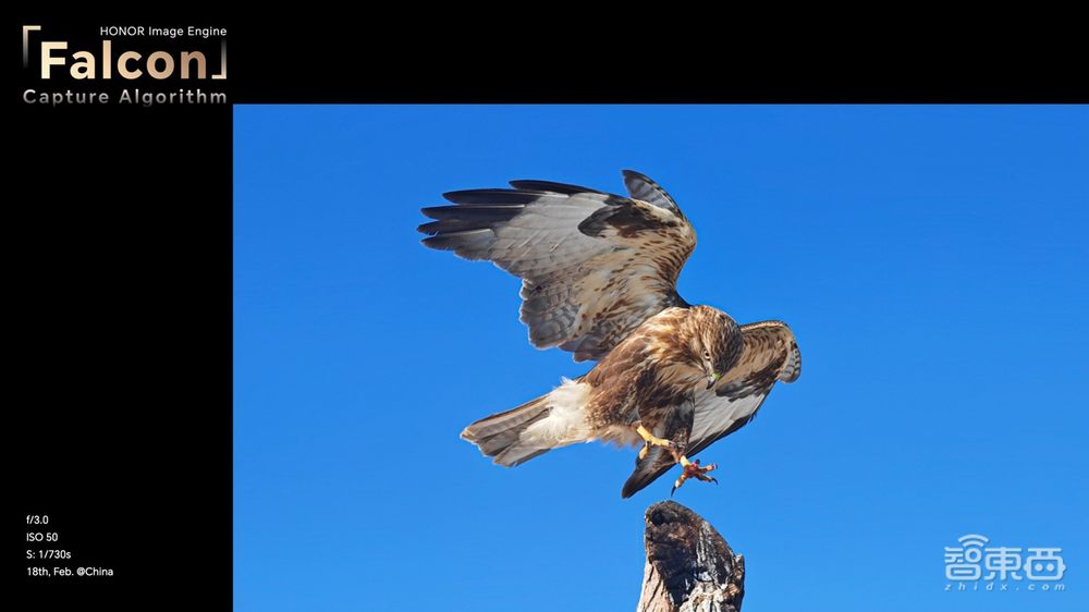 硬刚苹果三星，荣耀在全球市场接过华为的枪