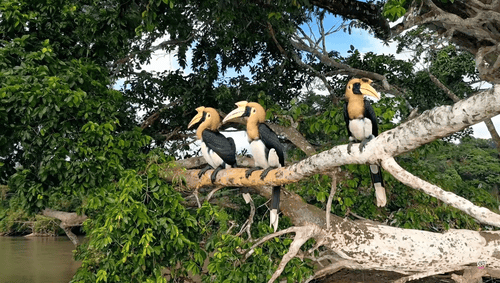 48个文生视频+技术报告,揭秘OpenAI最强视频GPT