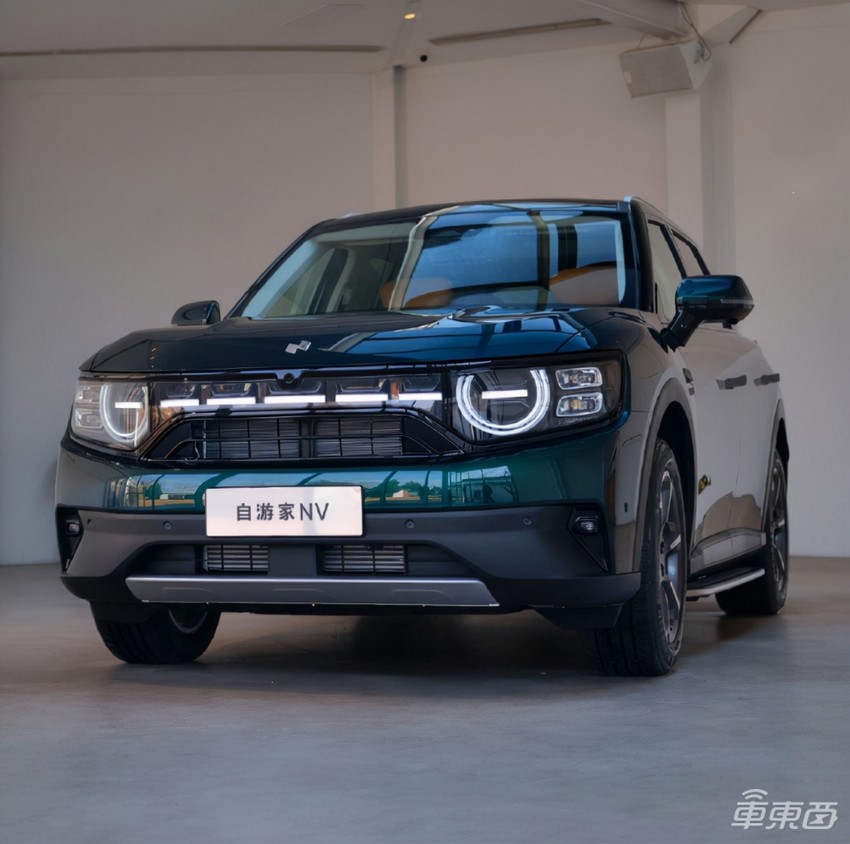 造车新势力的n种死法