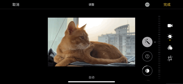 疫情把你闷在家,看如何在iOS 13里快乐“杀”时间