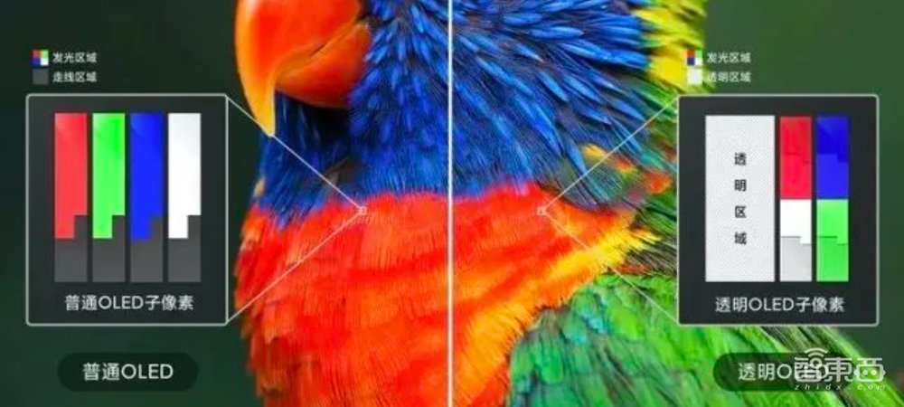 从张艺谋到雷军，谁吹爆了透明屏神话？