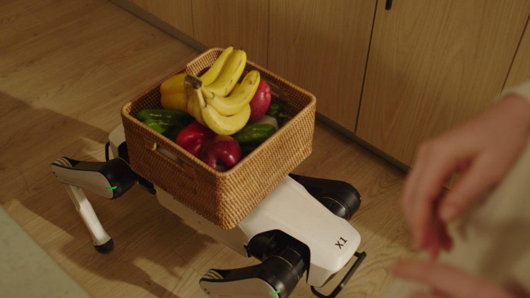 7499元行业冰点价!越疆发布全球首款家庭智能体机器人,首日预定超5000台