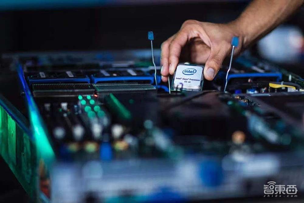 芯片巨头的AI“搬砖”路:如何从一粒种子到一片森林?