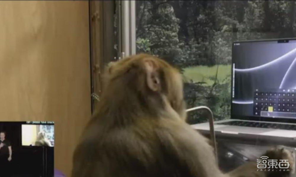 獲批人體試驗(yàn)后，傳馬斯克的Neuralink估值達(dá)70億美元