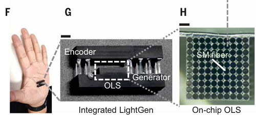 上海交大全光AI芯片登Science!比A100快百倍