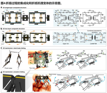 国防科大造了个纸片机器人，登上Nature子刊