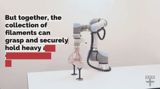 哈佛研发像火鸡面的“触手”机器人,能缠绕抓起脆弱物体